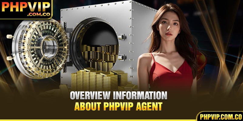 Overview information about PHPvip Agent